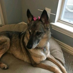 Meet your Posher, Gina